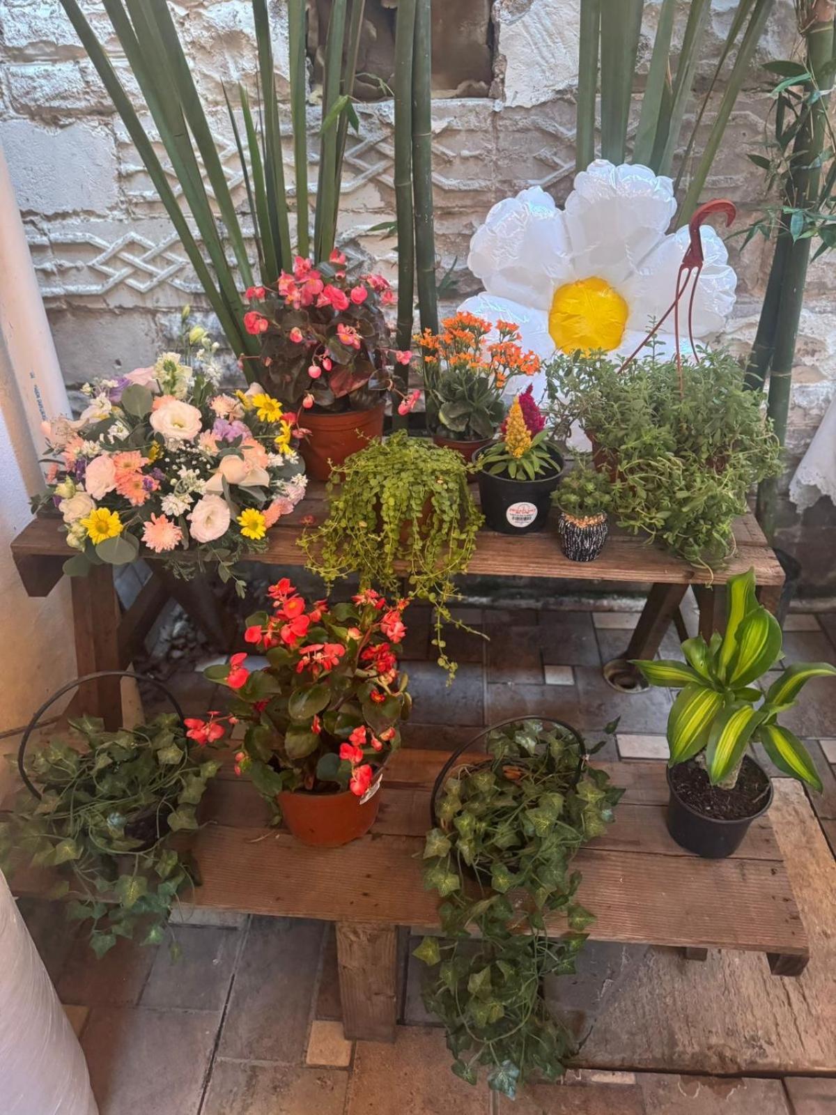 Departamento Centro Historico De Tampico Apartment ภายนอก รูปภาพ